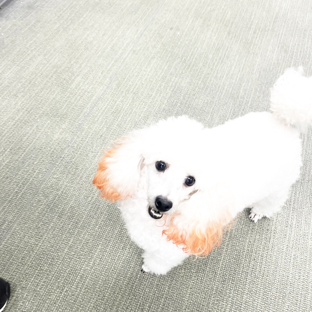 生徒が撮影した写真を送ってくれました！②